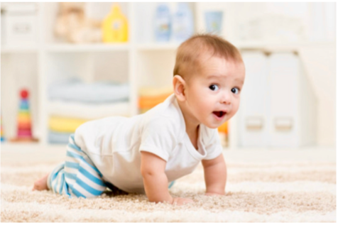 The Roll of Primitive Reflexes in Neurological Organization