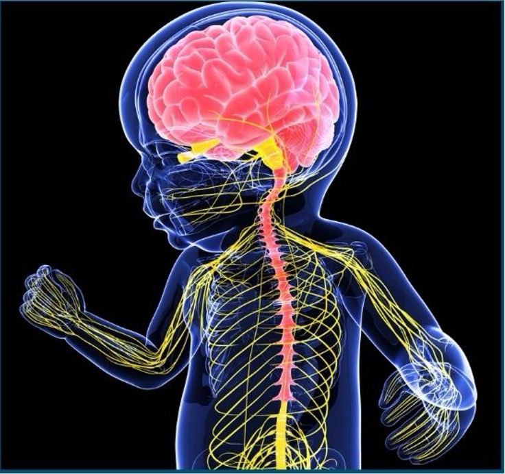 The Neurological Threshold